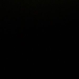 Meet your Posher, Giselle